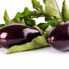 Aubergine