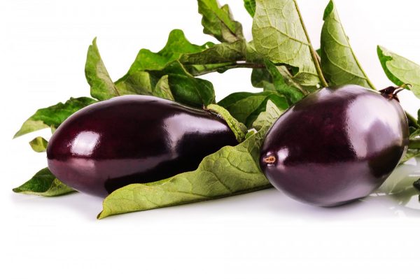 Aubergine