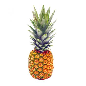 ananas