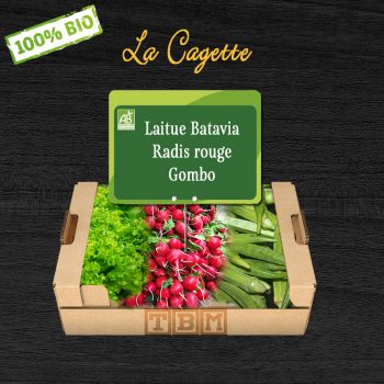 Cagette Laitue Batavia Radis rouge Gombo