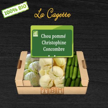 cagette Chou pommé Christophine Concombre
