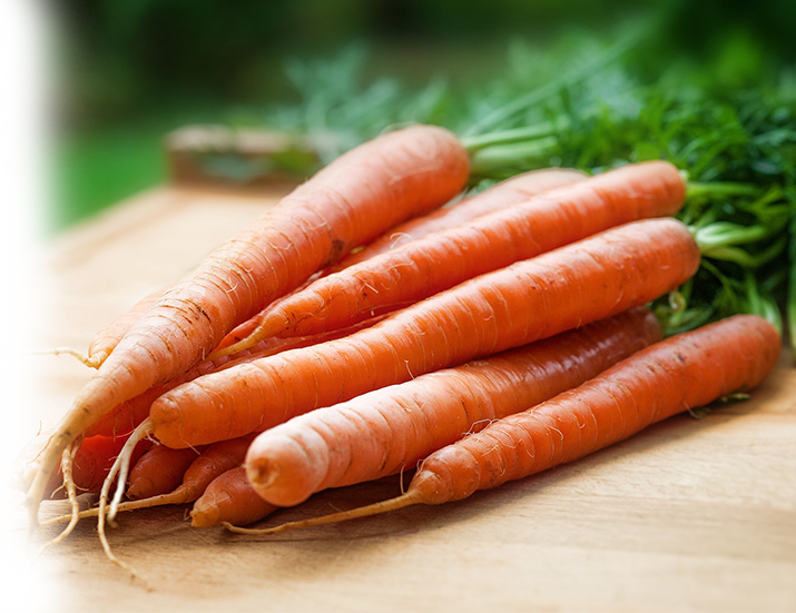 la carotte