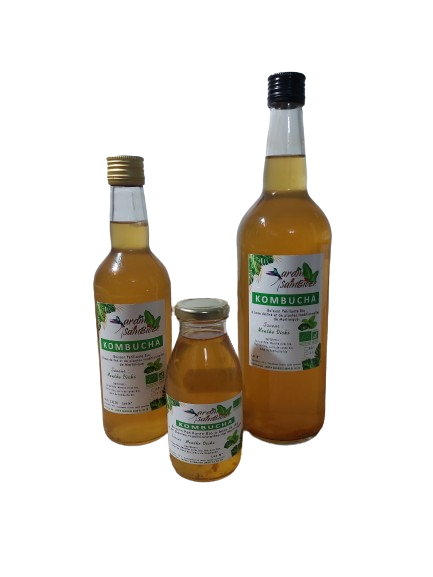 KOMBUCHA Bio Saveur Menthe Vicks