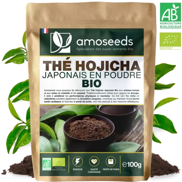 Thé Hojicha Japonais en Poudre Bio 100g